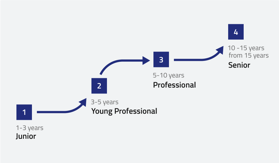 This infographic shows development stages for software engineers at ISO – from entry-level to expert and leadership roles.

