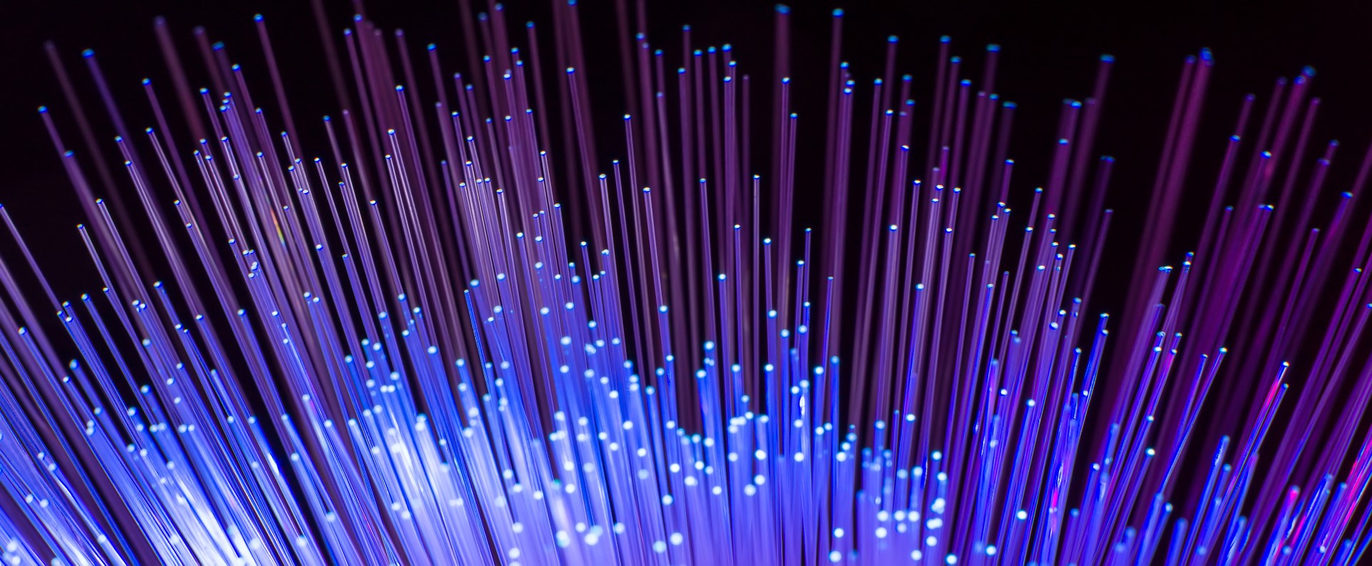 USt-ID-Prüfung SAP Customizing