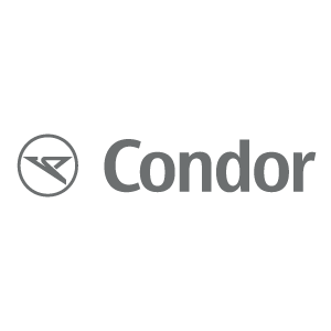 Logo: condor