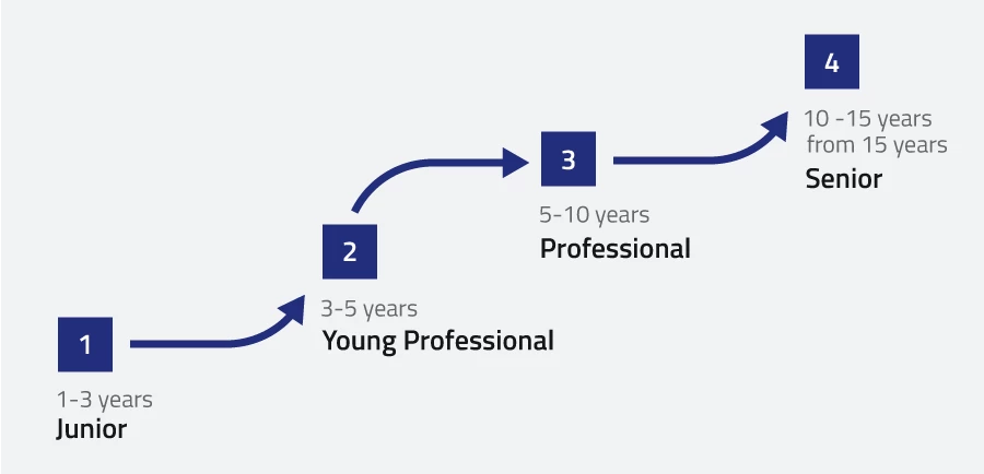 This infographic shows development stages for software engineers at ISO – from entry-level to expert and leadership roles.

