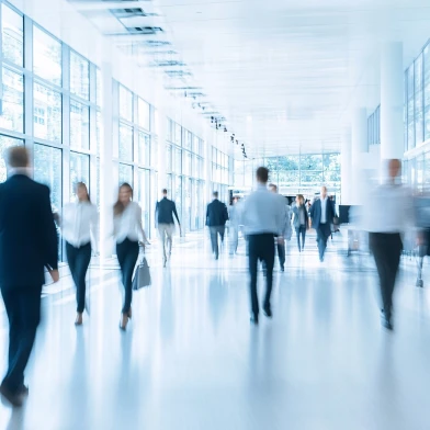 ISO-Gruppe: Ihr Partner für IT-Lösungen